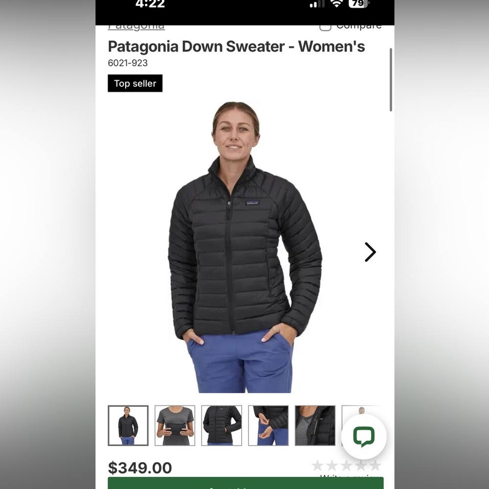 Patagonia down sweater coat